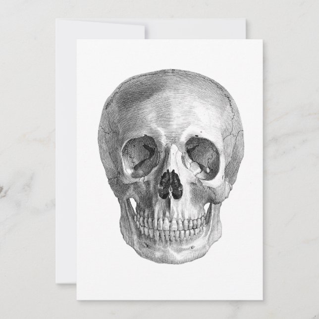 Carte Dessin d'anatomie du crâne humain (Devant)
