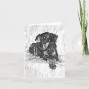 Carte Dessin de chien de Pinscher de dobermann par le