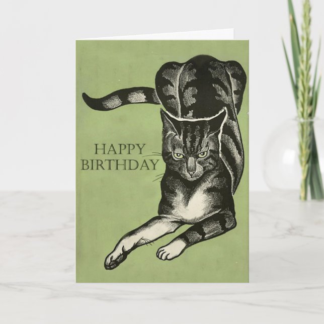 Carte Dessin ennuyé de chat - joyeux anniversaire ou (Devant)