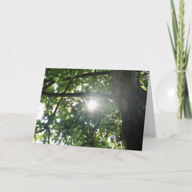 Carte Dessus d'arbre (Devant)