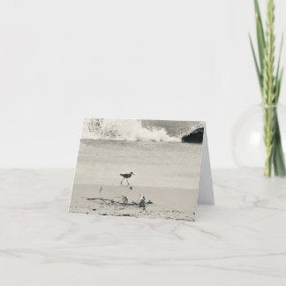 Carte Determined Bird at Beach in Black and White