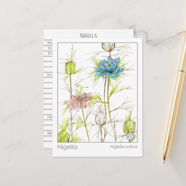 Carte d'étude Herbe Médicale Nigella Fleur sauvage (Devant/Arrière en situation)