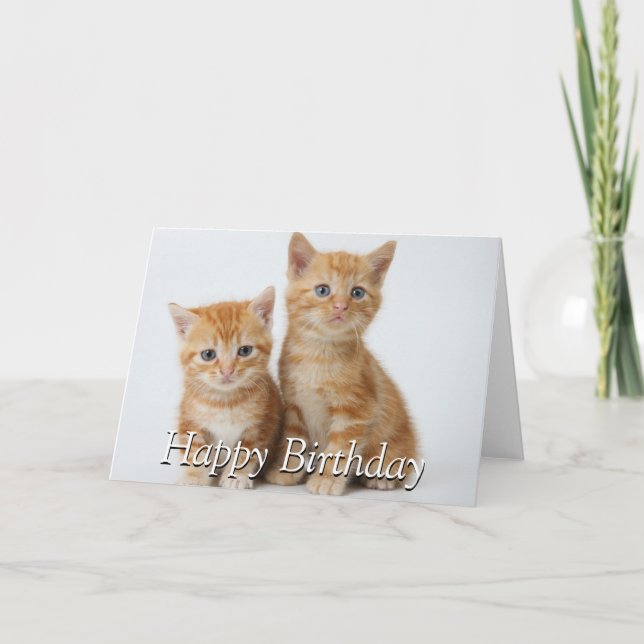 Carte Deux chatons adorables (Devant)