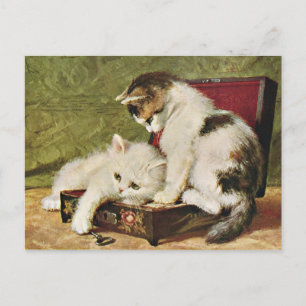 Carte Deux Chatons Joueurs