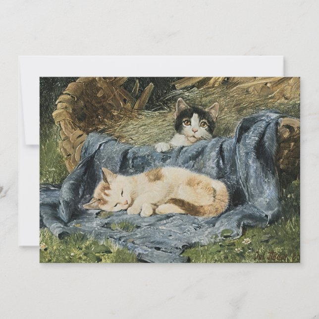 Carte Deux chatons | Julius Adam le Jeune (Devant)