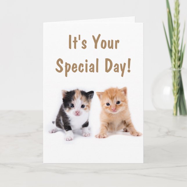 Carte Deux chatons mignons Anniversaire (Devant)