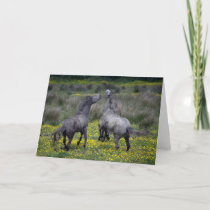 Carte Deux chevaux Buck and Play