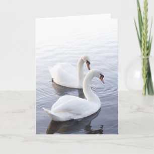 Carte Deux cygnes nageant sur un lac tranquille