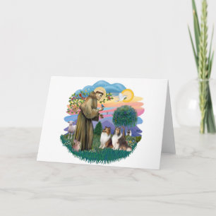Carte Deux étagères - St. Francis (ff)