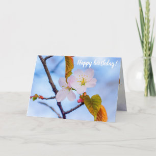 Carte Deux Fleurs Sakura De Couleur Rose Pâle Au Printem
