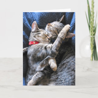 Carte Deux Kitties