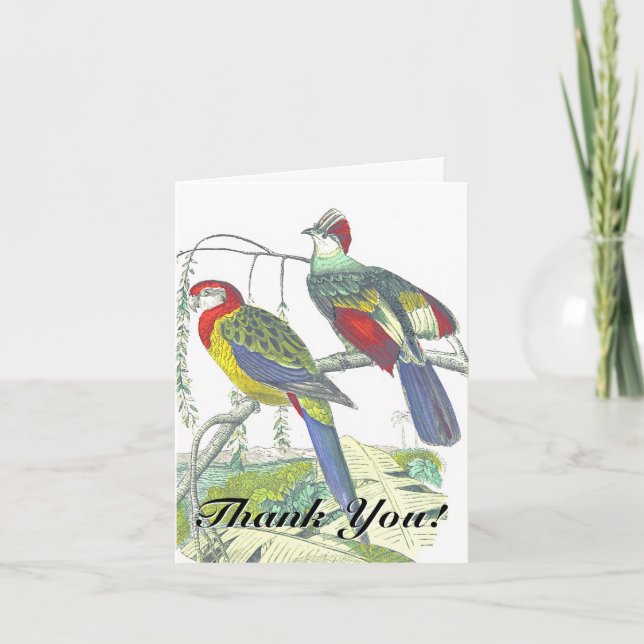 Carte Deux oiseaux perchés sur une branche "Merci"! (Devant)
