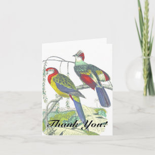 Carte Deux oiseaux perchés sur une branche "Merci"!