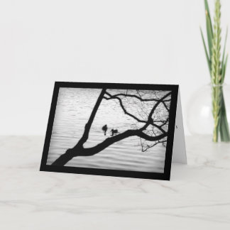 Carte Deux oiseaux - sympathie