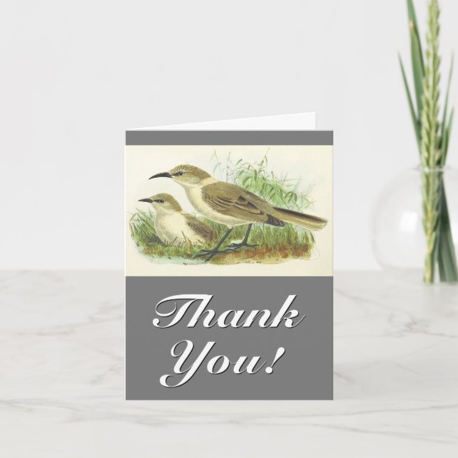 Carte Deux Oiseaux, Vintage, "Merci !" (Devant)