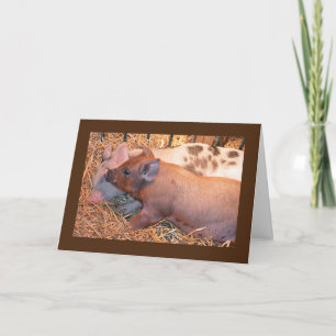 CARTE "DEUX PETITS PIGGIES" DIT **HEUREUX ANNIVERSAIRE**