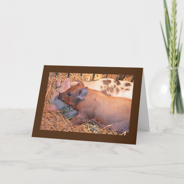 CARTE "DEUX PETITS PIGGIES" DIT **HEUREUX ANNIVERSAIRE** (Devant)