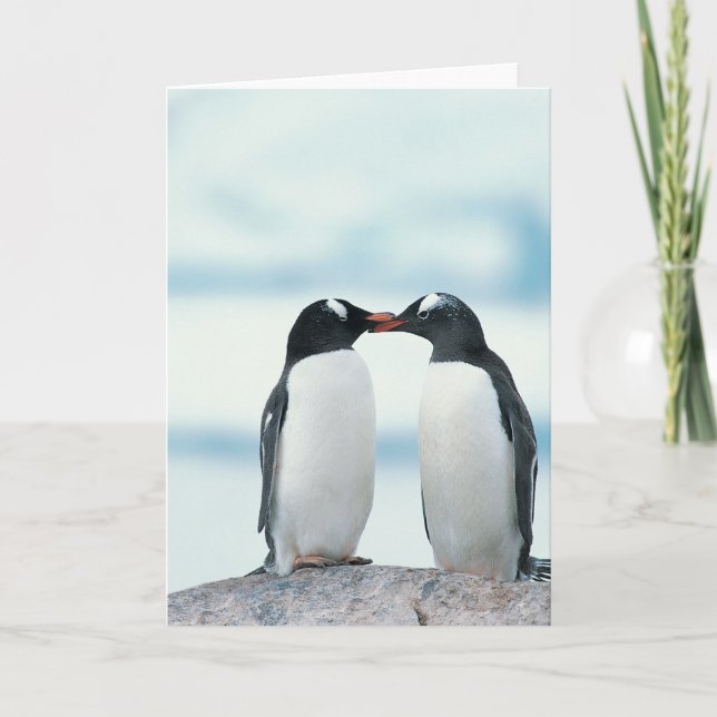 Carte Deux pingouins touchant des becs (Devant)