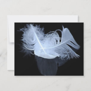 Carte Deux plumes de flamme et réflexion