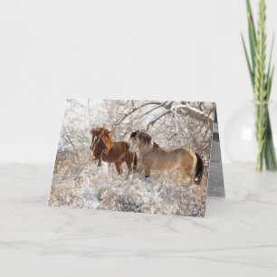 Carte Deux Stallions à Snow