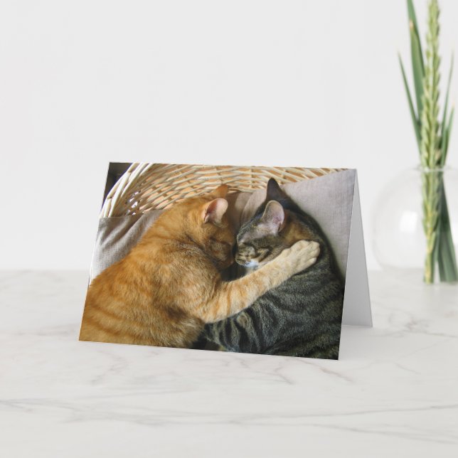 Carte Deux Tabby Chats Dormants Se Déchauffer (Devant)