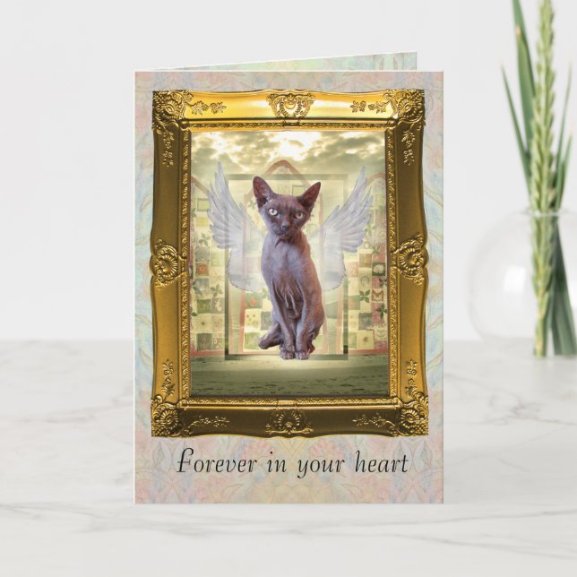 Carte Devon Rex Sphynx Angel Chat Animal Sympathie (Devant)