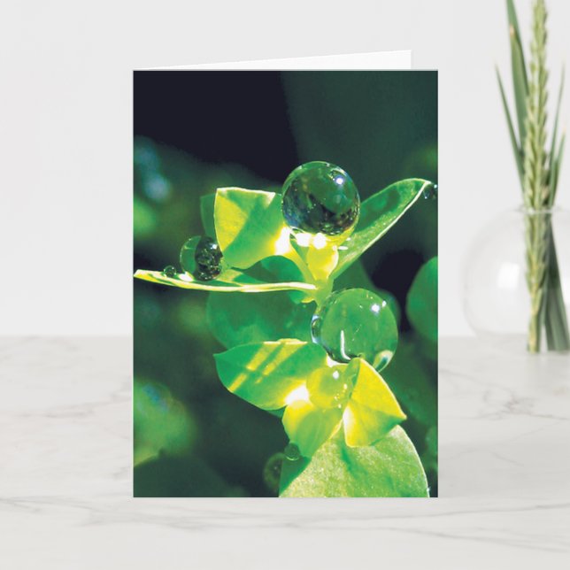Carte Dew Baisse sur les pétales verts Nature paisible (Devant)