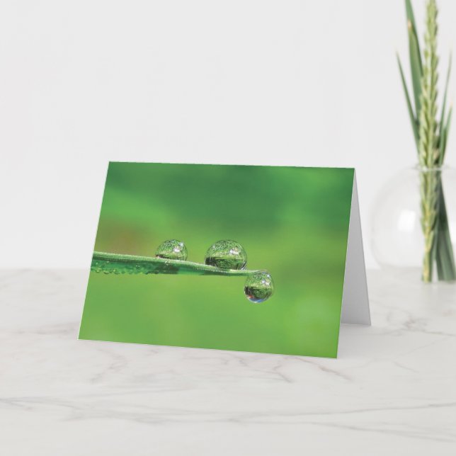 Carte Dew Drops sur Green Grass Poetry of Nature (Devant)