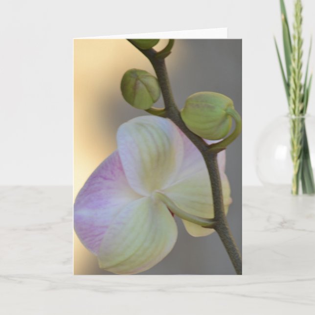 Carte d'expression d'orchidée rose (Devant)