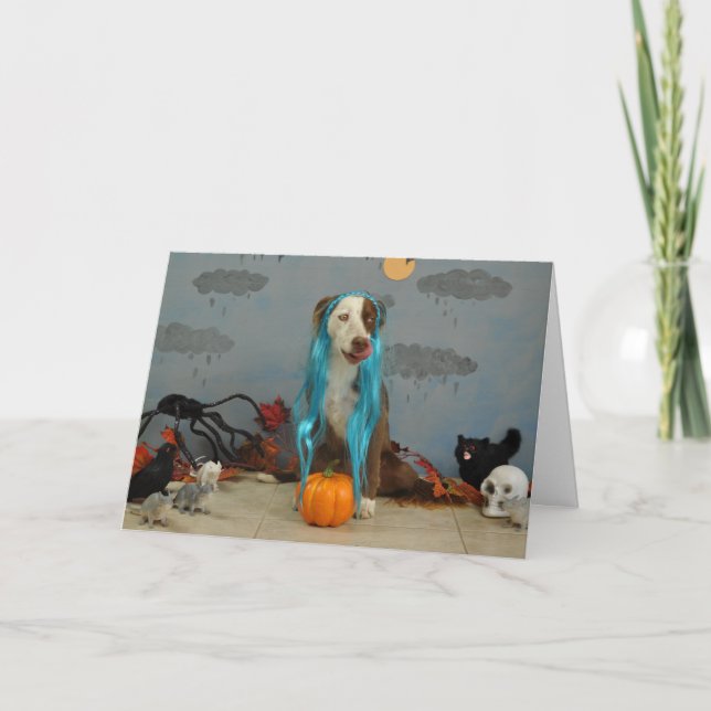 Carte d'Halloween avec des chiens habillés en cost (Devant)