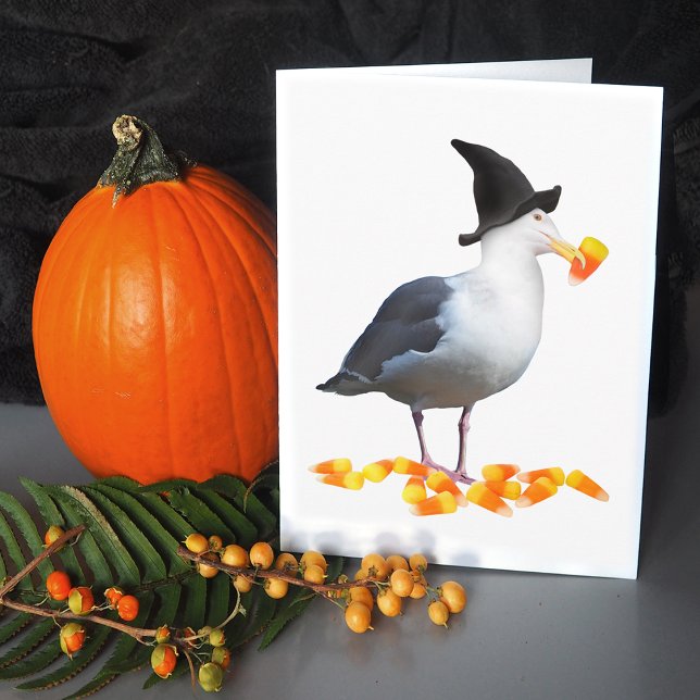 Carte d'Halloween Witch Seagull (Créateur téléchargé)