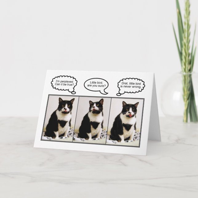 Carte d'Humour d'anniversaire de Tuxedo Cat (Devant)