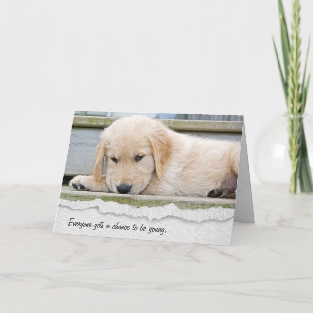 Carte d'Humour d'anniversaire Golden Retriever Pup (Devant)