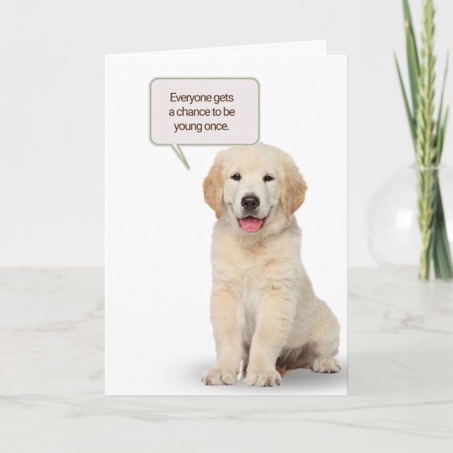 Carte d'Humour d'anniversaire Golden Retriever Pup (Devant)
