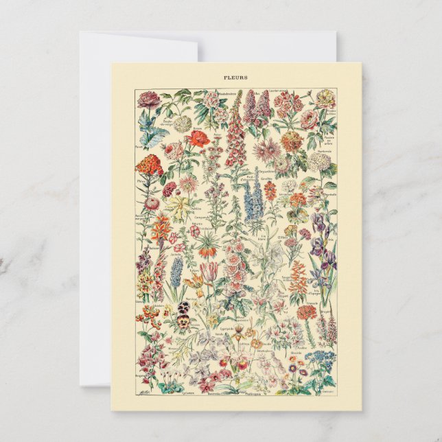 Carte Diagramme de jardinage des Fleurs sauvages botaniq (Devant)