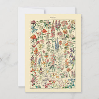 Carte Diagramme de jardinage des Fleurs sauvages botaniq