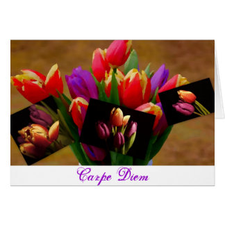 Carte Diem Love-Carpe Tulip