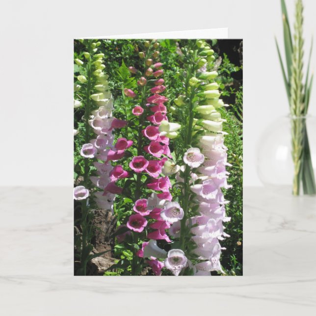 Carte Digitales roses (Devant)