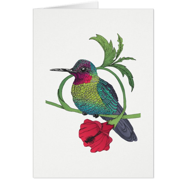 Carte d'illustration Colibri Bird (Devant)