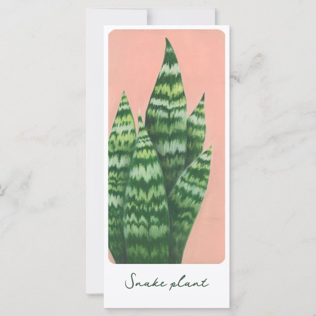 Carte d'illustration de gouache plante de serpent (Devant)