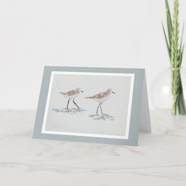 Carte d'illustration d'oiseaux de rivage avec gris (Devant)