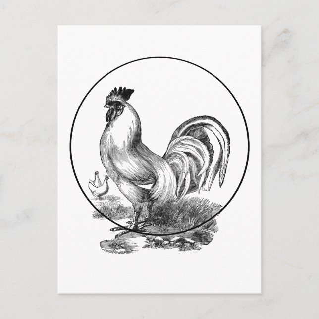 Carte d'illustration du coq vintage (Devant)