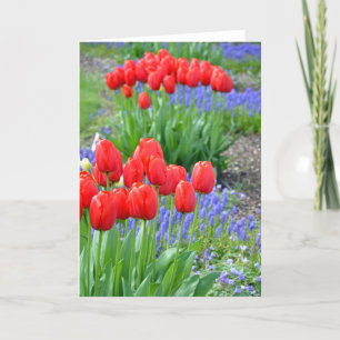 Carte d'impression florale des tulipes à ressort r