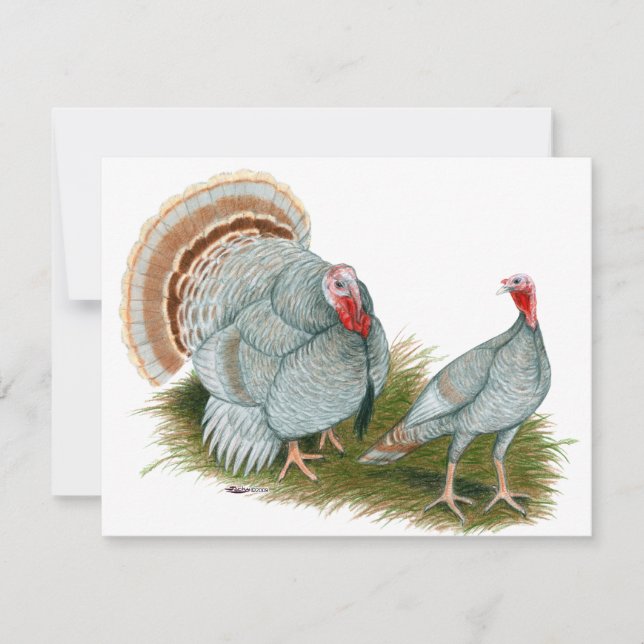 Carte Dindons : Lilac (Devant)