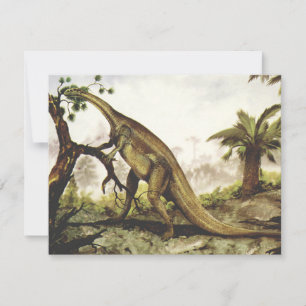 Carte Dinosaures Vintage, Plateosaurus Paissant sur des 
