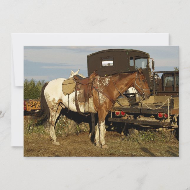 Carte d'invitation Appaloosa Horse (Devant)