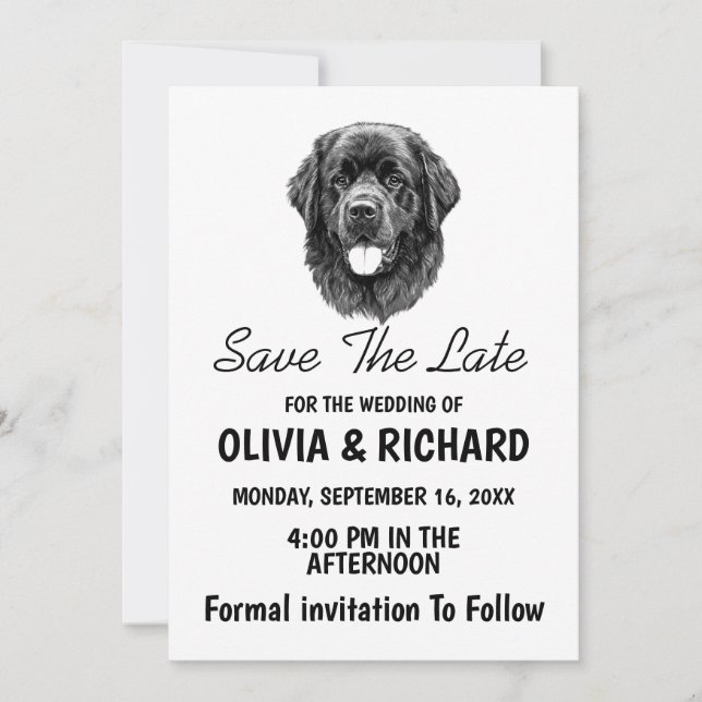 Carte d'invitation de chien de Terre-Neuve (Devant)