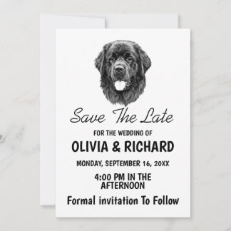 Carte d'invitation de chien de Terre-Neuve