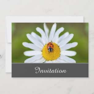 Carte d'invitation Enchantant avec coccinelle