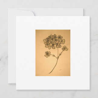 Carte d'invitation/félicitations Hydrangea assourd